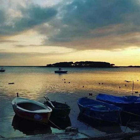 B&B Fior Di Mare Porto Cesareo Ngoại thất bức ảnh